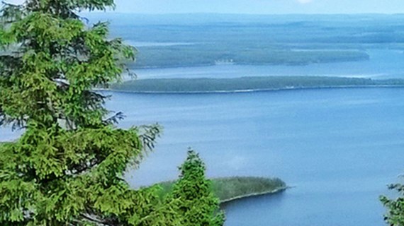 newHeader_947_55383_20250520124635bF7X189FBm.jpg (107 KB)