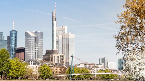 Expert services and installations throughout the lifecycle